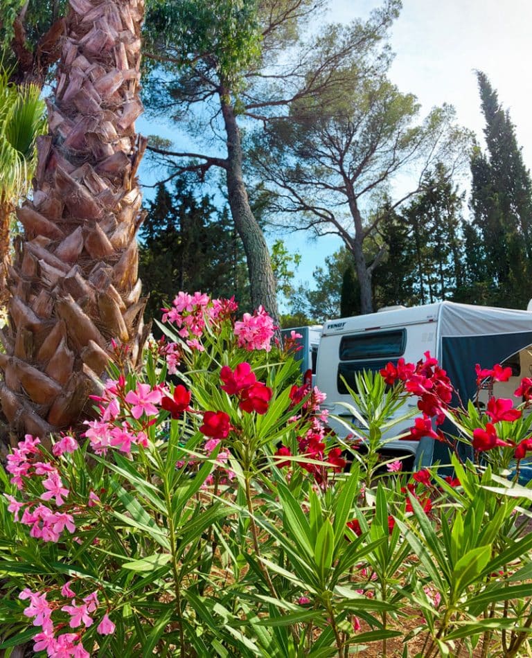 Caravanplaats, Camping aan de Côte d'Azur met Privé Sanitair Esterel