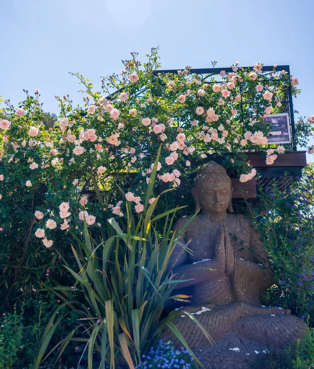 Boeddha onder de rozen – Esterel Caravaning